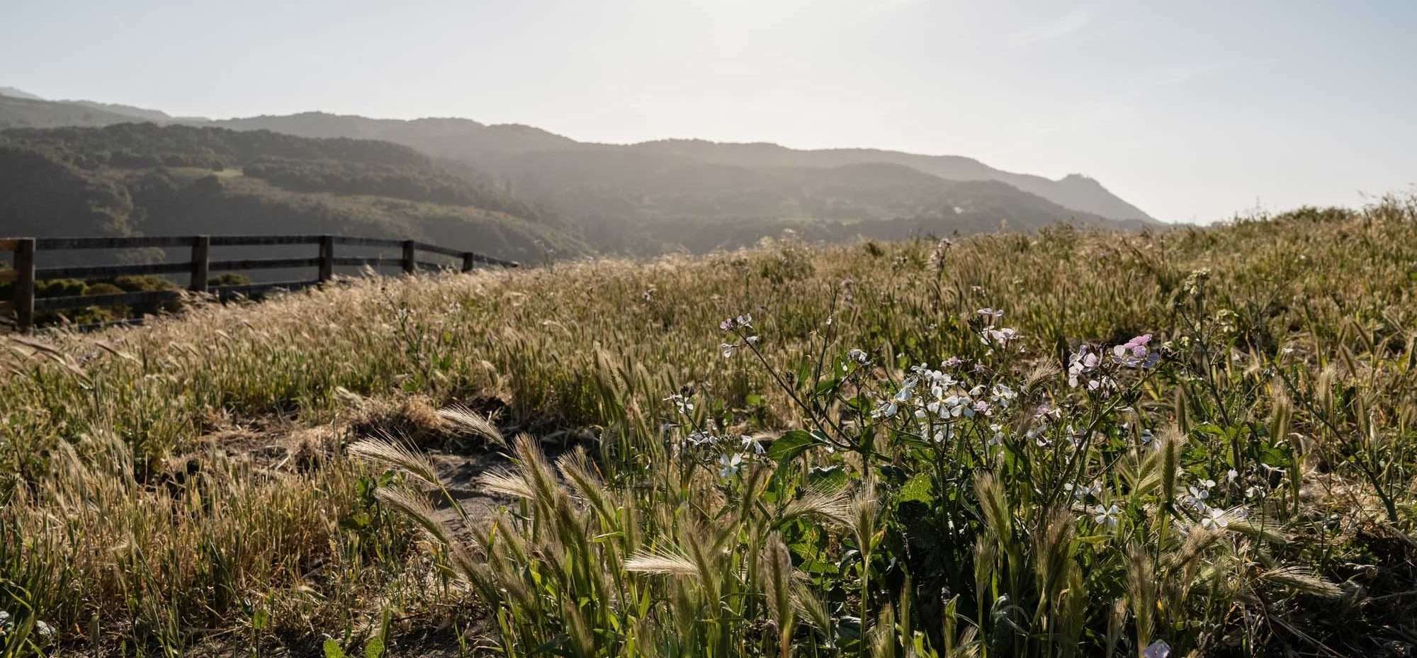 Meadows at Carmel Valley Ranch