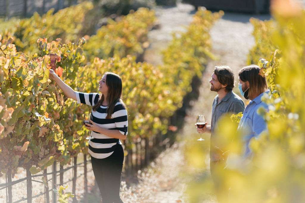 Group walking the vineyards at The Ranch