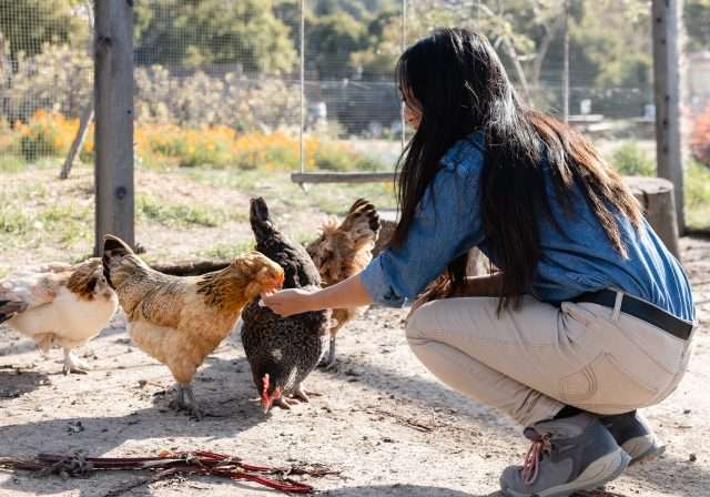 Woman talking to chickens