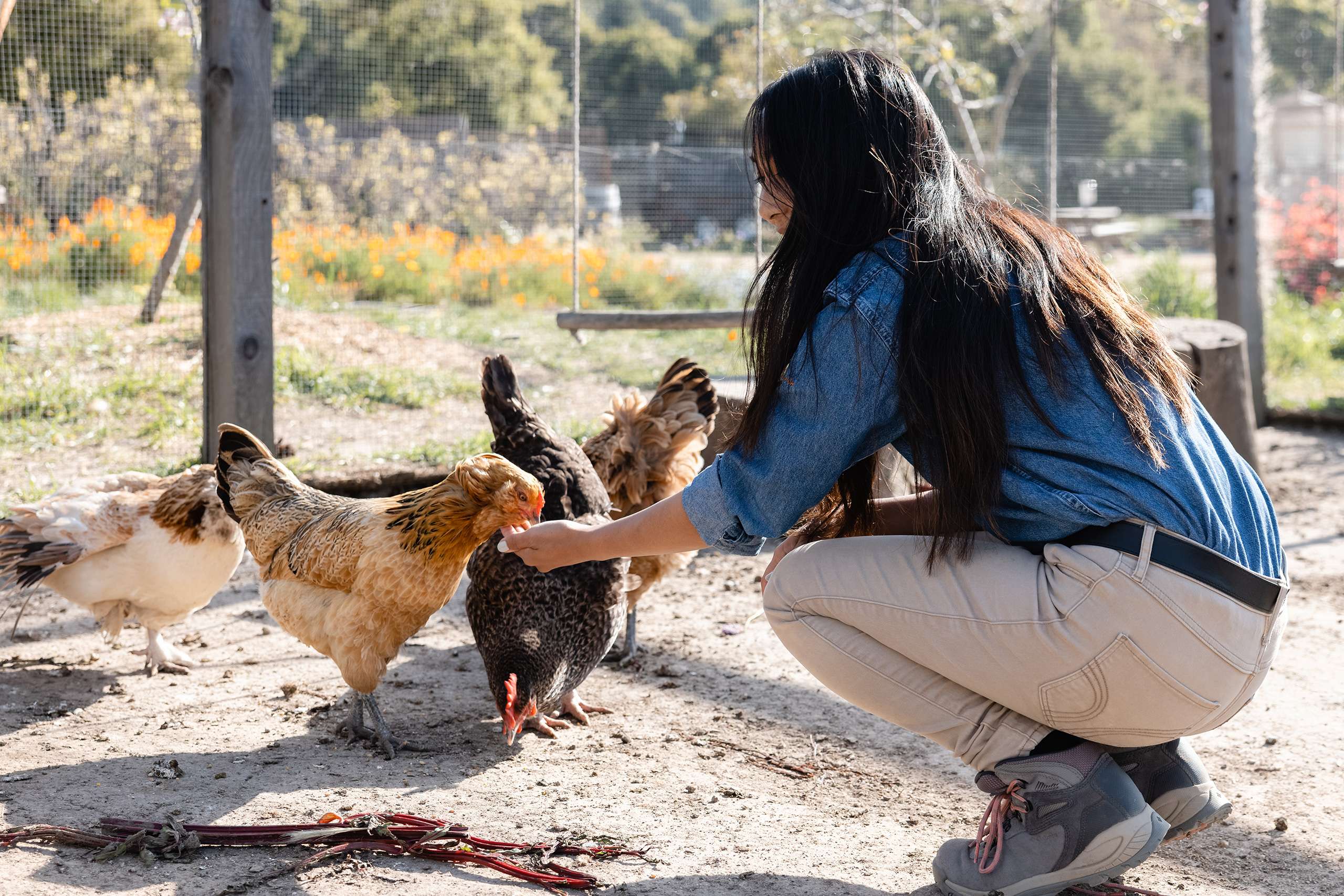 Woman talking to chickens