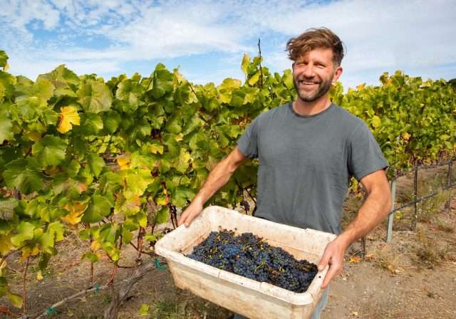 Man holding a basket of grapes