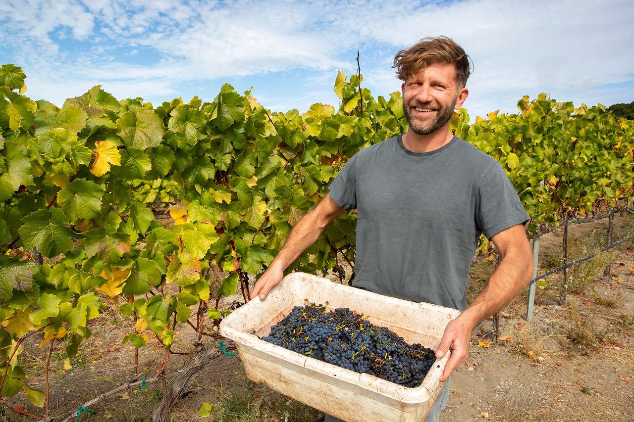 Man holding a basket of grapes