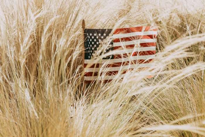 Fourth of July Flag