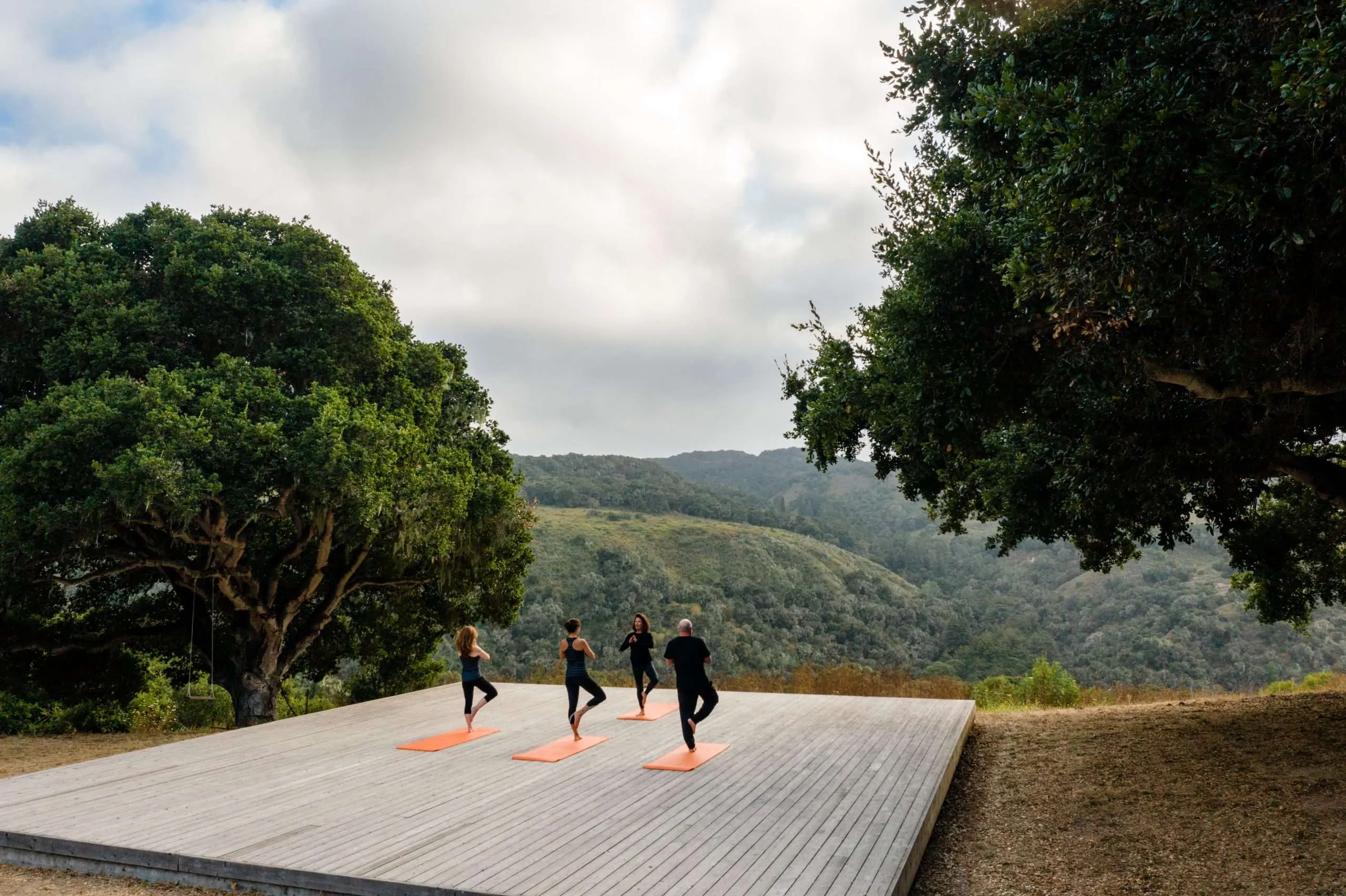 a group of people yoga posing with mountain views