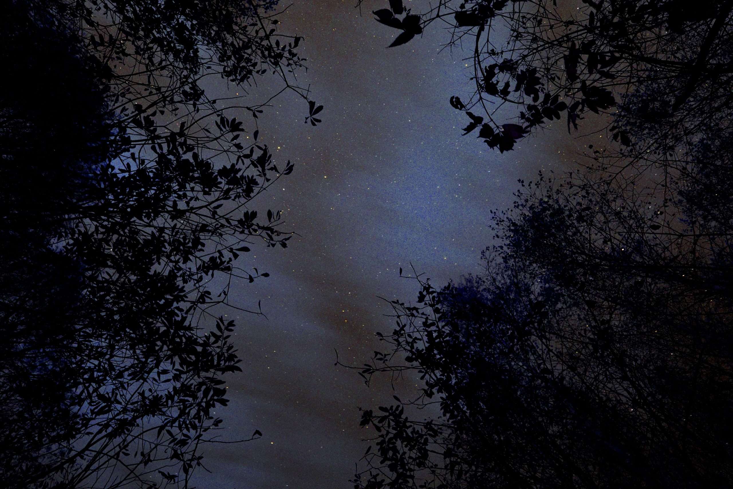 starry night sky