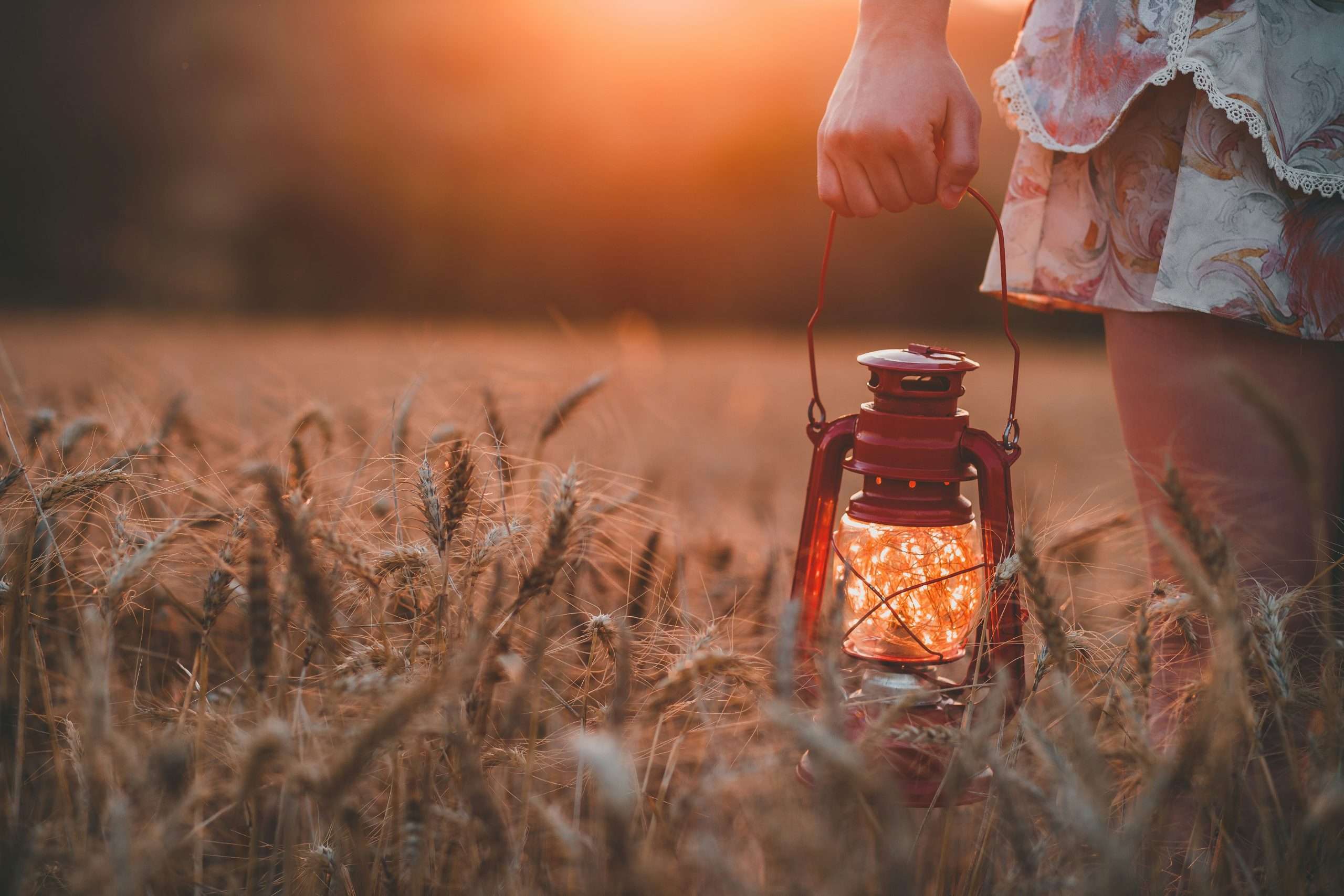 person holding lantern in field