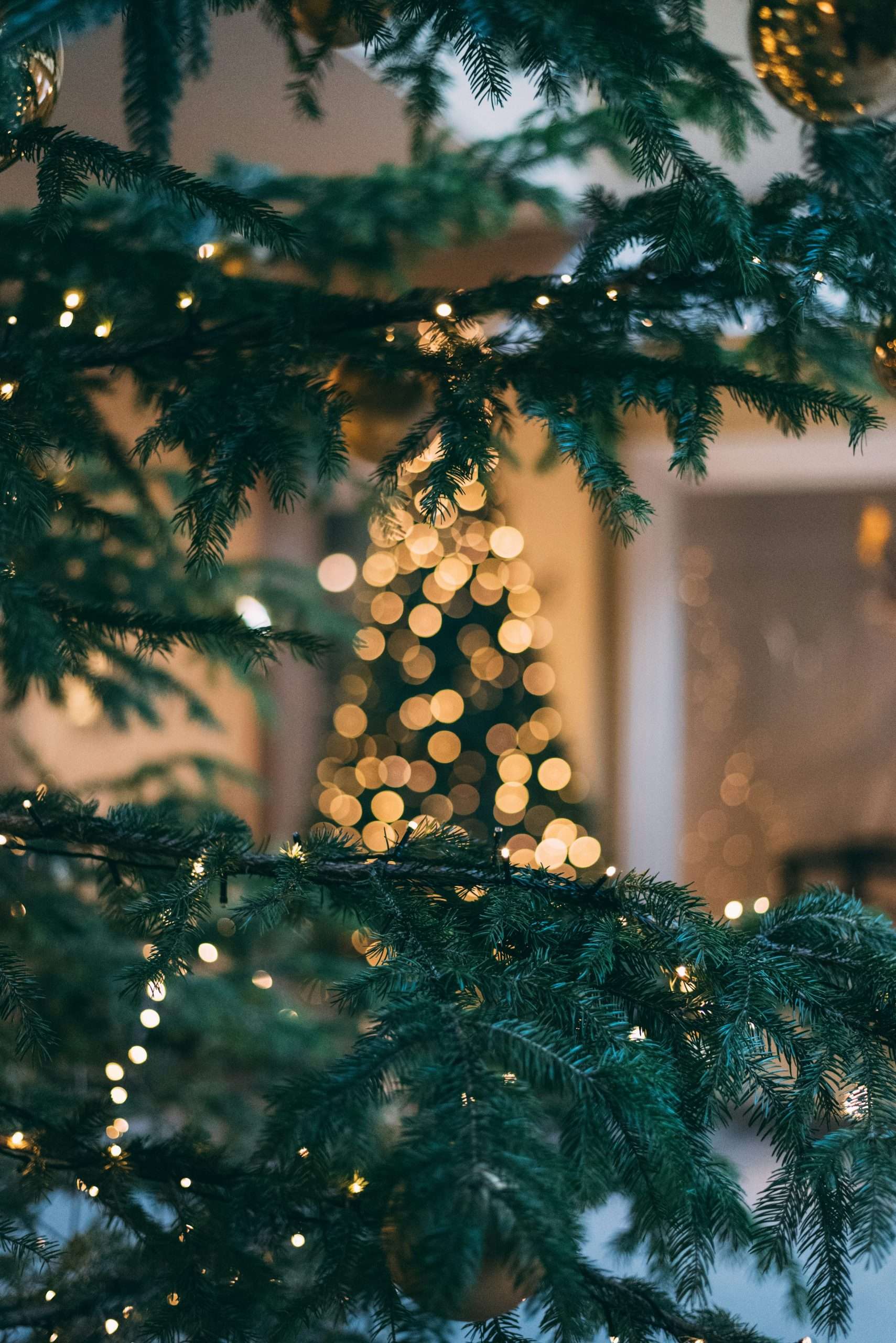 yellow bokeh on christmas tree