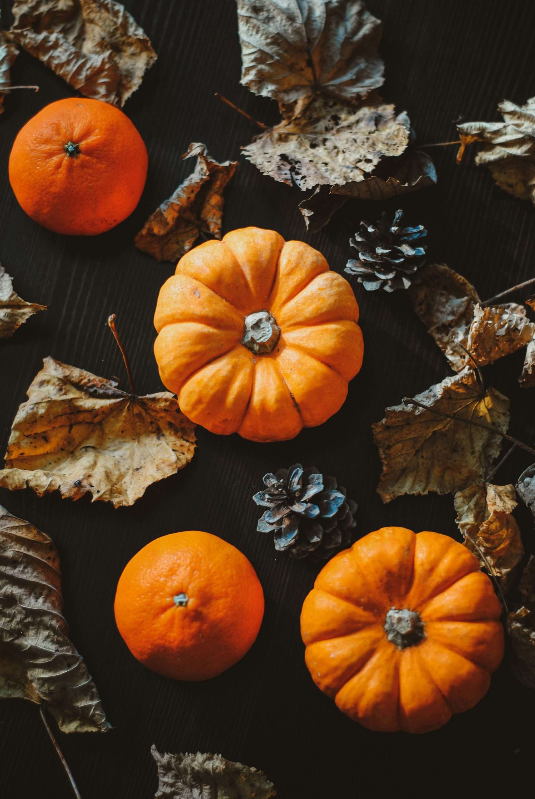 bunch of pumpkins on ground